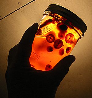 img_3429_applejam.jpg img 3429 applejam Jam Up and Jelly Tight