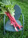rhubarb_chair_img.jpg