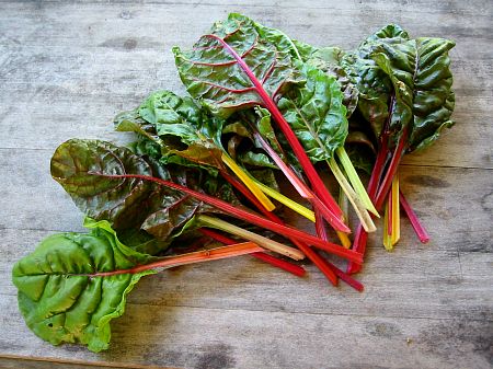 chard bright lights