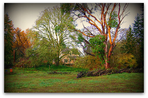 blog_farmhouse blog_farmhouse