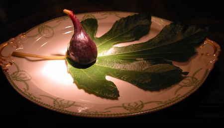 first fig of the summer Negronne firstfig Spotlight on Summer’s First Fig