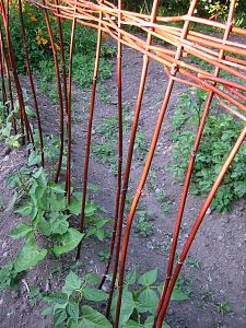 bean pole wattle fence