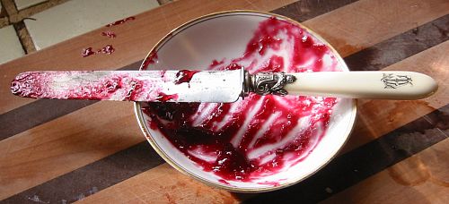 red peach jam and ivory handled knife