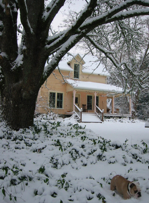 beautiful snowy day at tall clover, frozen pipes notwithstanding house plumbing When Good Plumbing Goes Bad