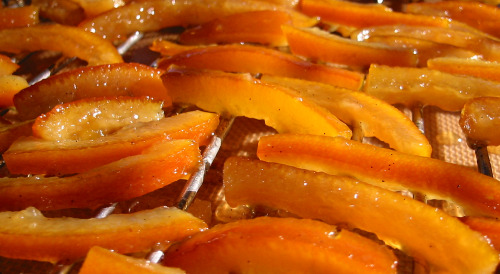 candied orange peels drying candied orange peels drying
