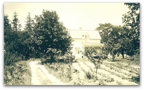 Tom’s farmhouse in 1900