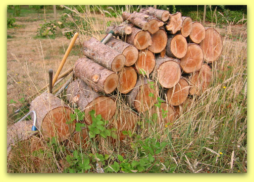 Words to the Wise: Chip Away, Chip Away 2009 23 08 woodpile Words to the Wise: Chip Away, Chip Away