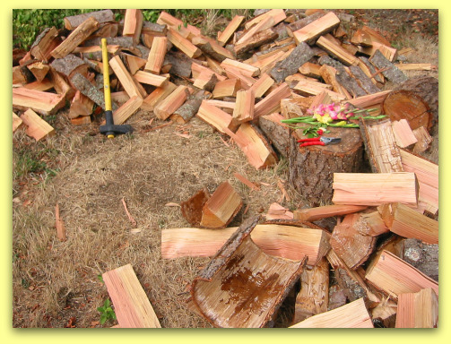 Words to the Wise: Chip Away, Chip Away 2009 23 08 woodpile cut Words to the Wise: Chip Away, Chip Away
