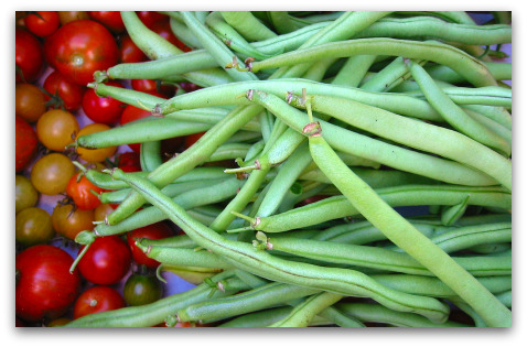 blog_beans green beans fortex