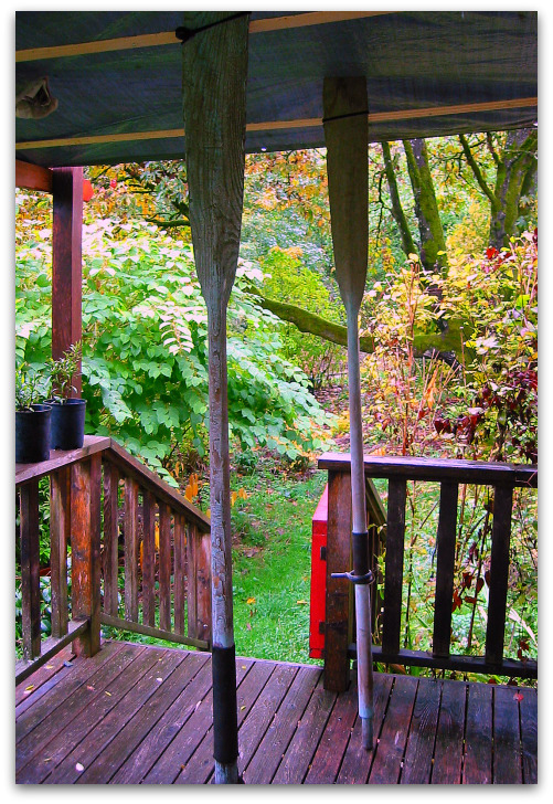 2009 10 15 blog tarp You Know Its Autumn in the Northwest When...