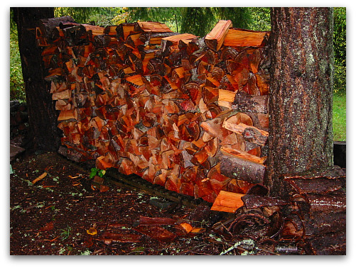 2009 10 15 blog woodpile You Know Its Autumn in the Northwest When...