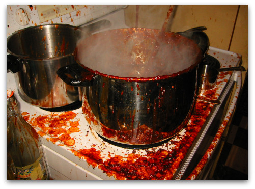 blog _homemade_ketchup blog _homemade_ketchup