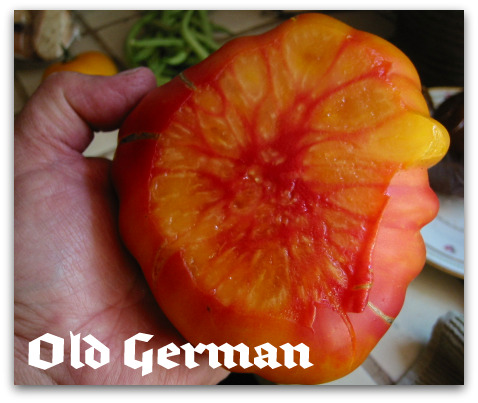 blog Old German tomato sliced Picking Favorites: Great Tomatoes for Puget Sound
