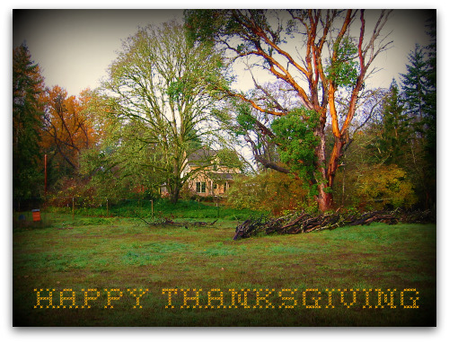 tall clover farm thanksgiving A Fine Day to Be Thankful
