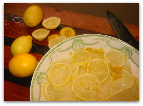 blog_sliced_lemons 015 blog_sliced_lemons 015