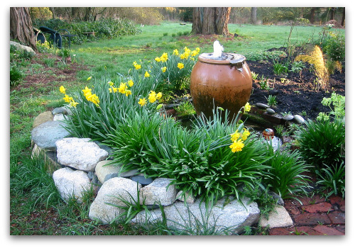 2010_03_05_blog_fountain_daffodils