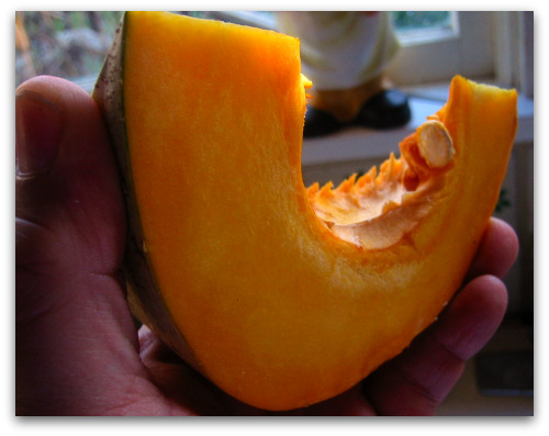 2010_03_05_blog_sliced_sweet_meat 2010 03 05 blog sliced sweet meat Sweet Meat Squash: Stores Well, Tastes Great