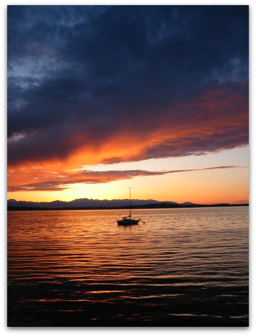 2010 05 08 Olympic mountains puget sound sunset Missing the Boat, But Catching the Show