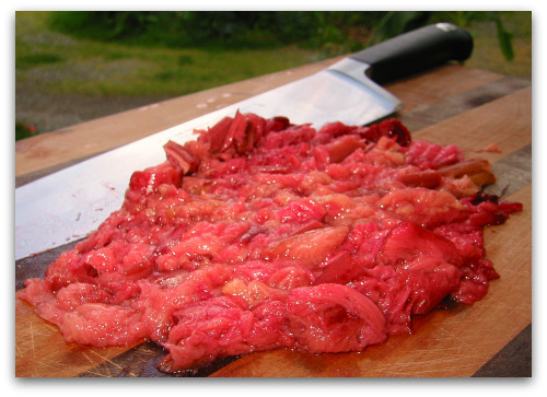 chopped-rhubarb-ice-cream chopped rhubarb ice cream Rhubarb Vanilla Ice Cream: You Scream, I Scream...