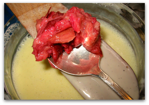 rhubarb-ice-cream-custard rhubarb ice cream custard Rhubarb Vanilla Ice Cream: You Scream, I Scream...