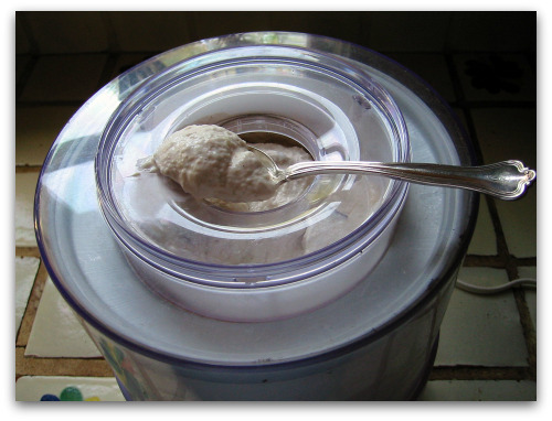 rhubarb-ice-cream-mixing rhubarb ice cream mixing Rhubarb Vanilla Ice Cream: You Scream, I Scream...