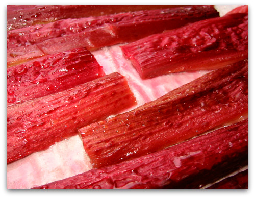 roasted-rhubarb-ice-cream roasted rhubarb ice cream Rhubarb Vanilla Ice Cream: You Scream, I Scream...