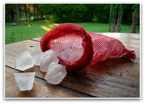 bog of ice cubes1 Just Harvested My Last Crop of June Ice Cubes