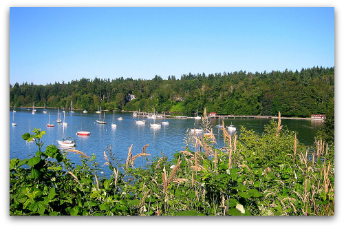 Vashon-Dockton-Quartermaster Dockton Harbor, Vashon Island, Washington