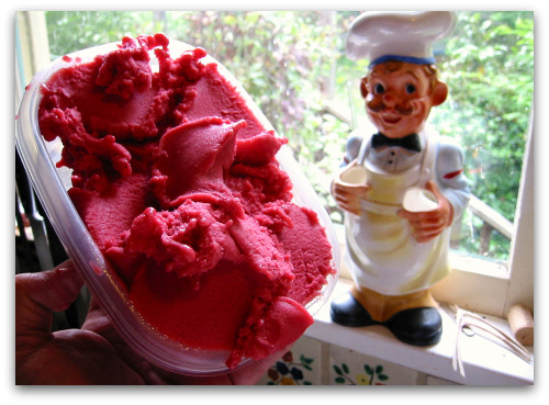 raspberry homemade sherbet sorbet Homemade Berry Sherbet Is a Sure Bet