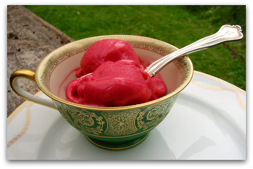 raspberry sherbet sorbet Homemade Berry Sherbet Is a Sure Bet