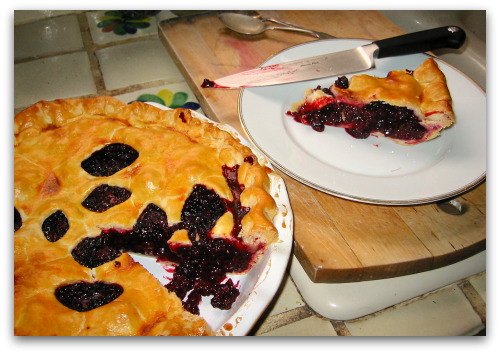 blackberry-pie-and-slice homemade blackberry pie