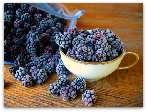 cup of frozen blackberries frozen blackberries by the cup