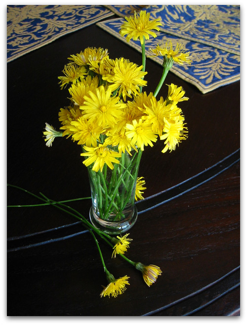 dandelion-bouquet bouquet of dandelions