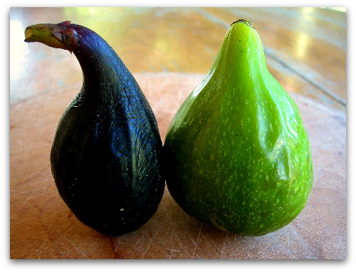 negronne-dessert-king-figs negronne dessert king figs Figs in a Blanket: Tucking In Some Amazing Flavor