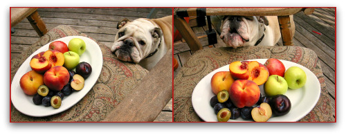 Chutney love indeed: Boz loves his fresh fruit