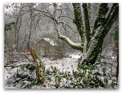 cabin-in-the-snow cabin in the snow