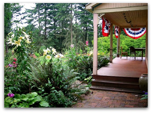 lilies-ferns-garden lilies ferns garden Orienpet Lily: Garden Looker Va Va Va Voom!