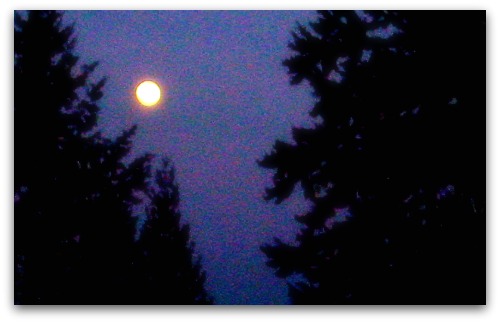 Moon shadow Moon shadow Being Followed by More Than a Moon Shadow