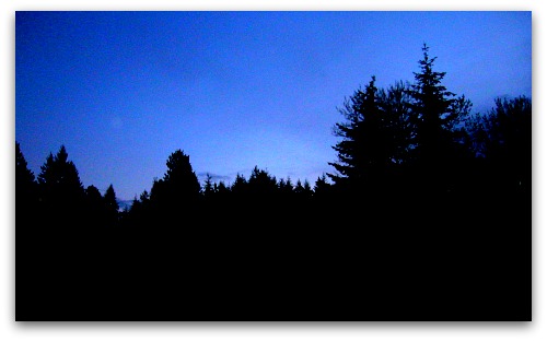 morning sky morning sky Being Followed by More Than a Moon Shadow