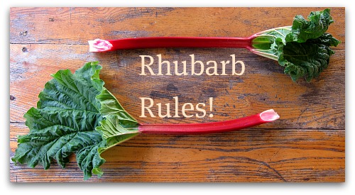 Rhubarb Rules Tall Clover Farm Rhubarb Rules Tall Clover Farm Heritage Recipe: Rhubarb Berry Cake Pudding