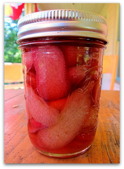 can of rhubarb pickle chips Jar of rhubarb pickles