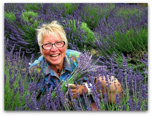 Harvest Lavender La Biondo